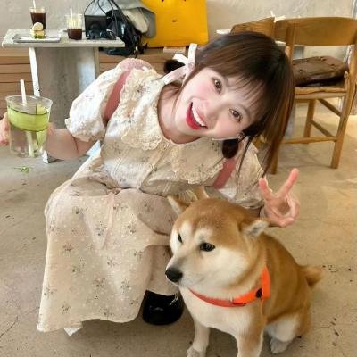 鳏夫跨美旅